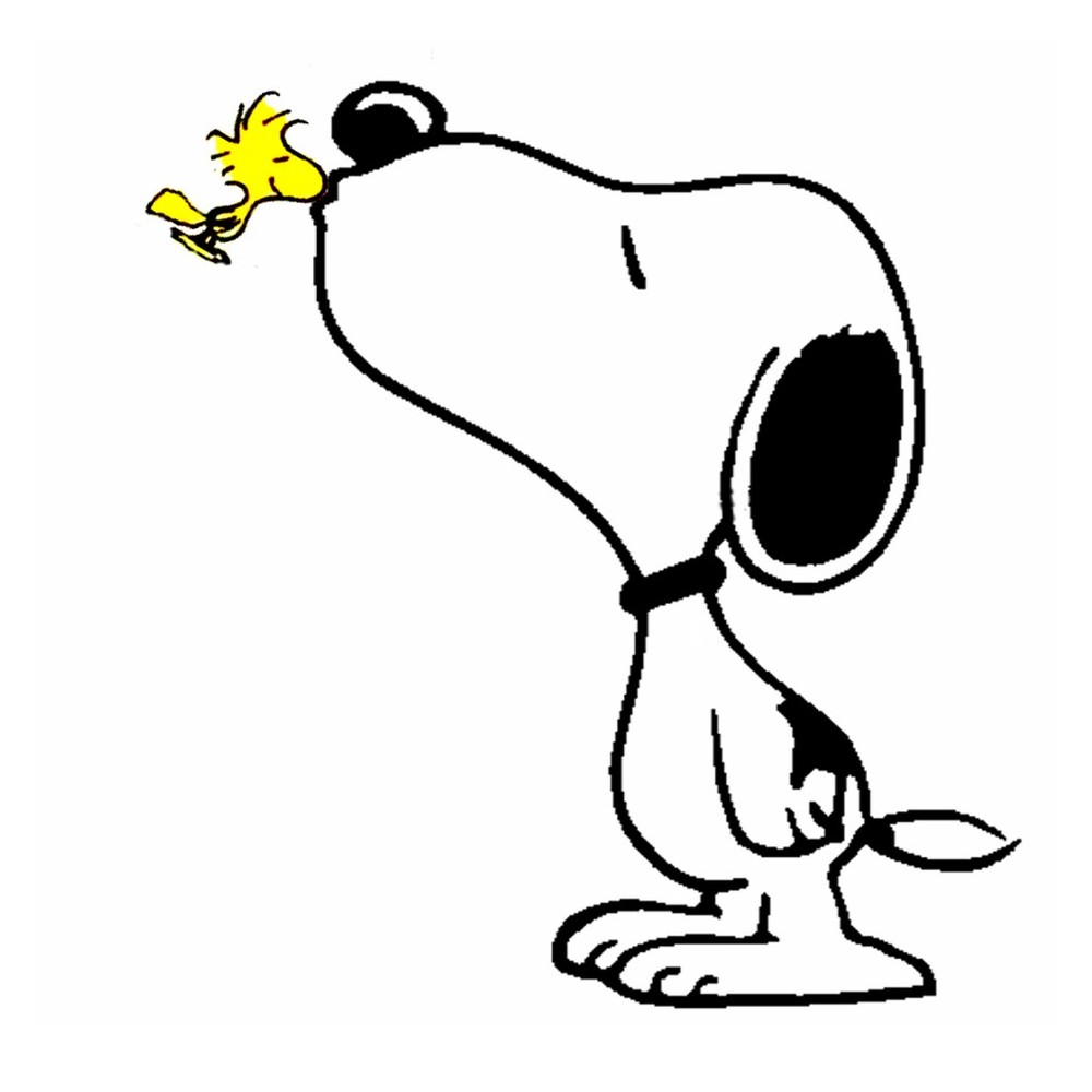 Meet your Posher, Iker